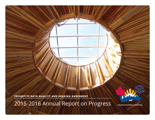 TDQSA-2015-2016-Annual-Report-On-Progress-Cover.jpg